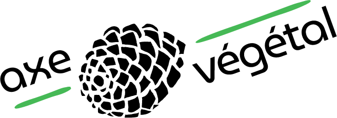 logo de l'entreprise axe végétal pomme de pin graphique noire entourée de deux traits verts avec le nom axe en haut à gauche et végétal en bas à droite